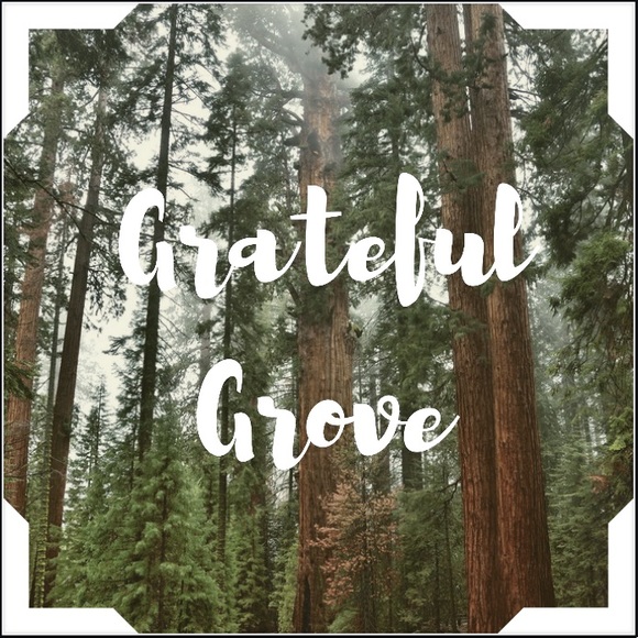 gratefulgrove